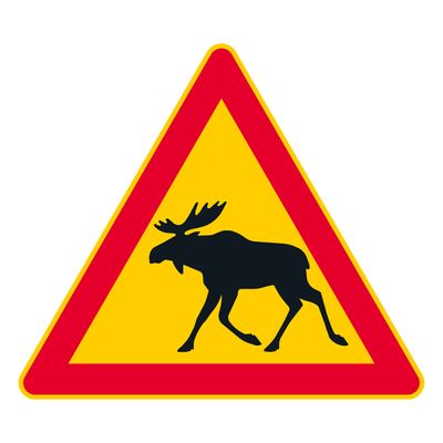Hirvi Hirvi
