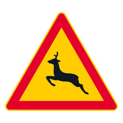 Kauriseläin Kauriseläin